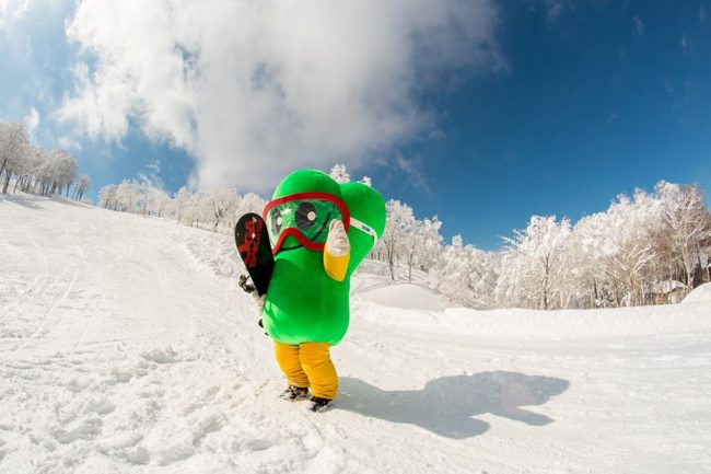 Nasuki Nozawa Snowboard 