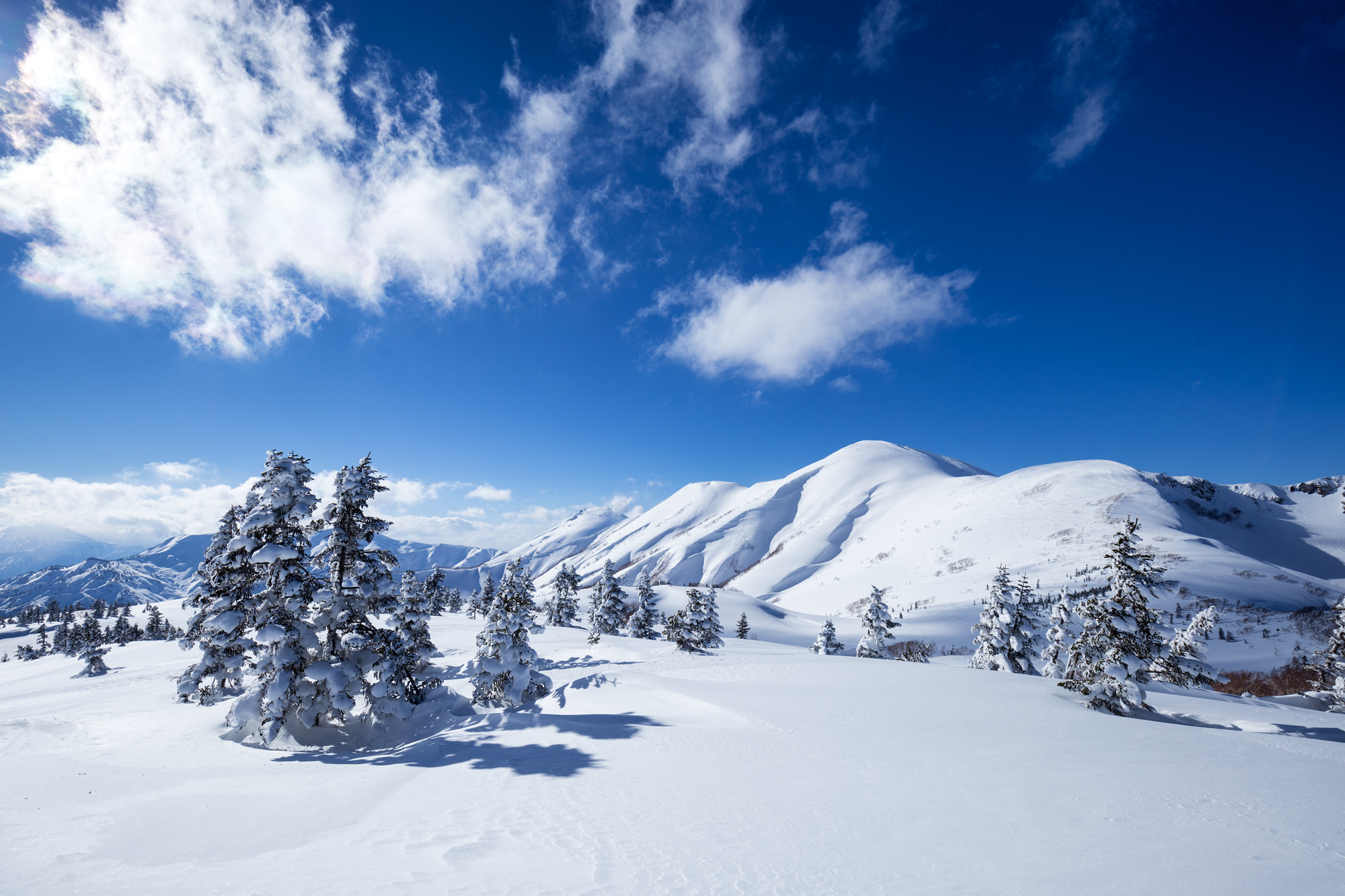 Nozawa Snow Report 27 February 2017 - Nozawa Holidays