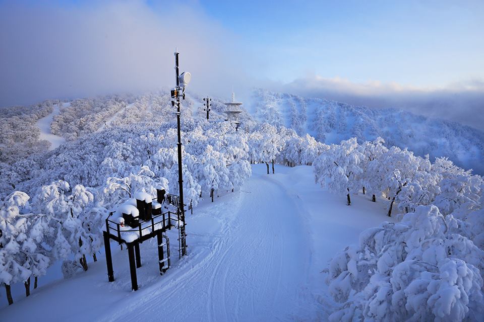 Wifi Internet Nozawa Onsen Japan Staying Connected Nozawa Holidays