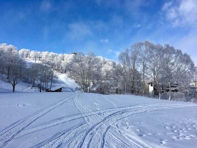 Nozawa Onsen Snow Report 2nd December 2017