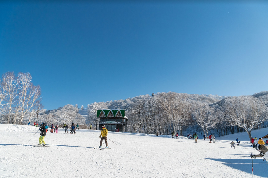 Nozawa Onsen Snow Report 5th January 2019 - Nozawa Holidays