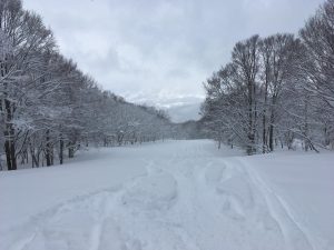 Nozawa Onsen spring