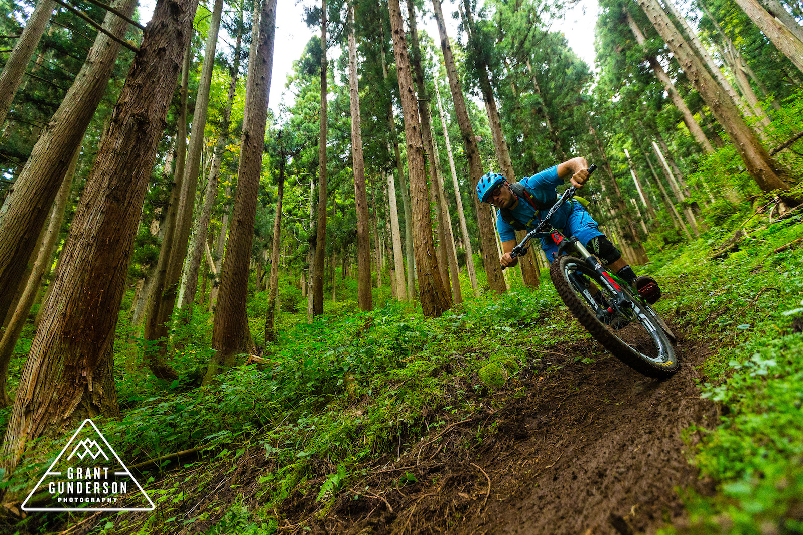 green mountain biking