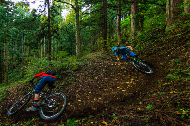 track downhill