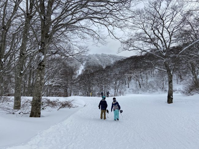 Nozawa Onsen Snow Condition