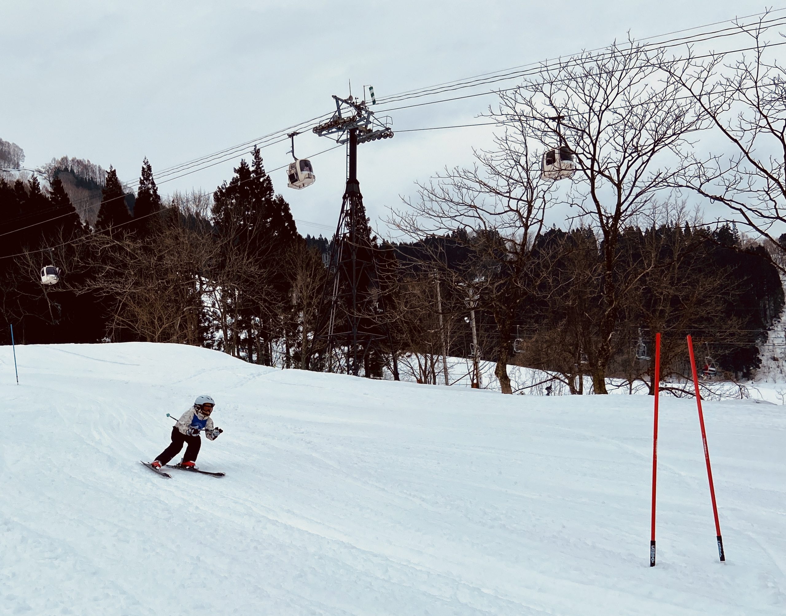 Ski Racing Nozawa Onsen - Nozawa Holidays