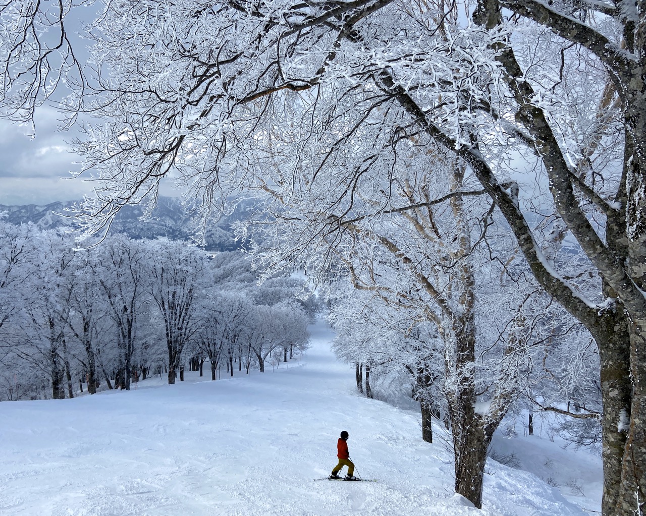 Best Ski Resort Japan