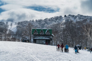 Nozawa Opening Dates