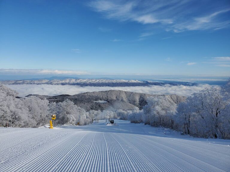 Nozawa Resort Open 2021 Season - Nozawa Holidays