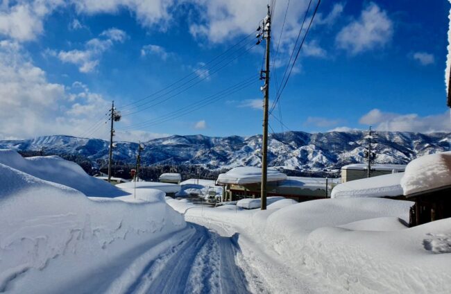 Snow Report Nozawa January