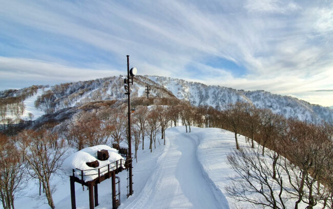 Weekend Availability Nozawa Onsen