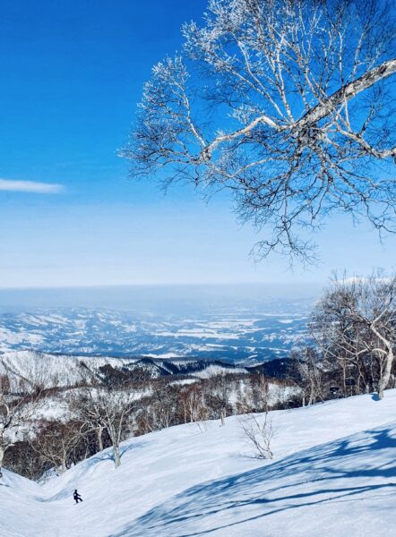 Must Do Nozawa Onsen Japan