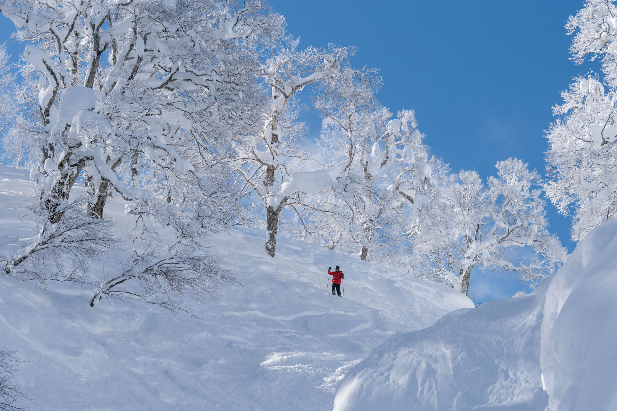 blog-nozawa-onsen-ski-resort-nozawa-holidays