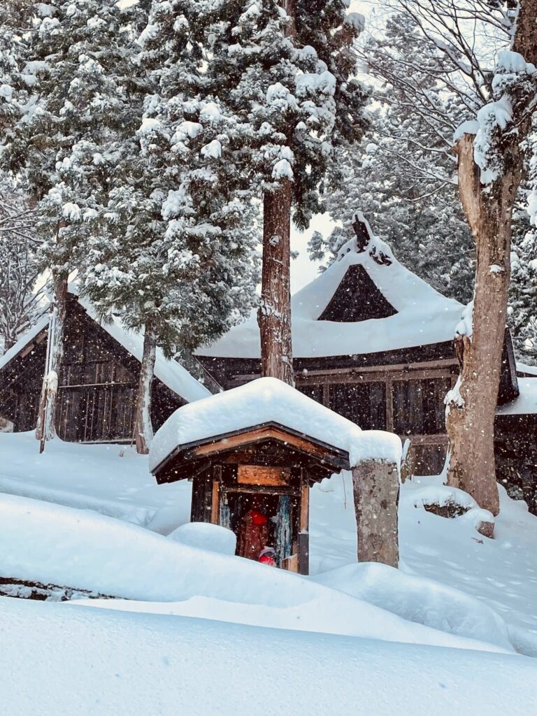 Nozawa Japan Snow Forecast - Nozawa Holidays
