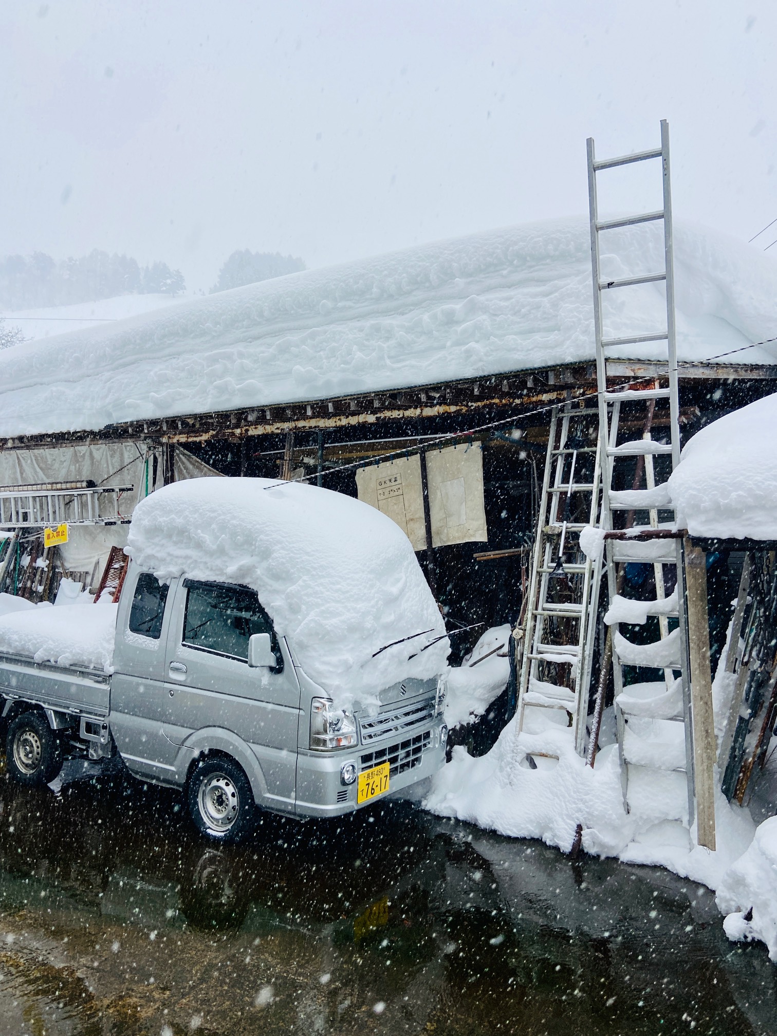 50cm overnight Nozawa Onsen