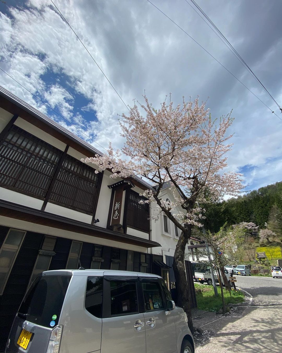 Cherry blossom outside of Atarashiya