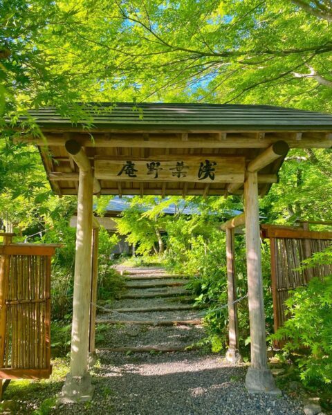 Entrance into a beautiful forest just a few miles away from Nozawa Onsen leading to Kosuge Shrine