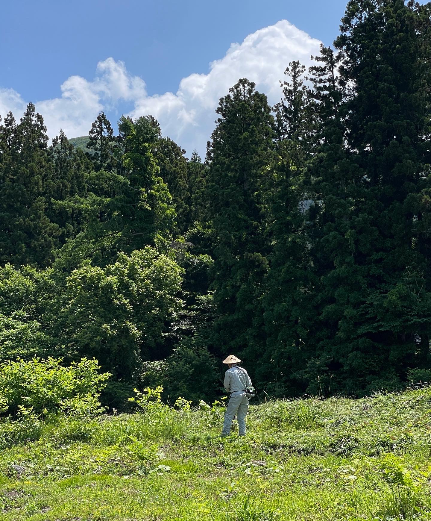 Gardening in Nozawa Onsen