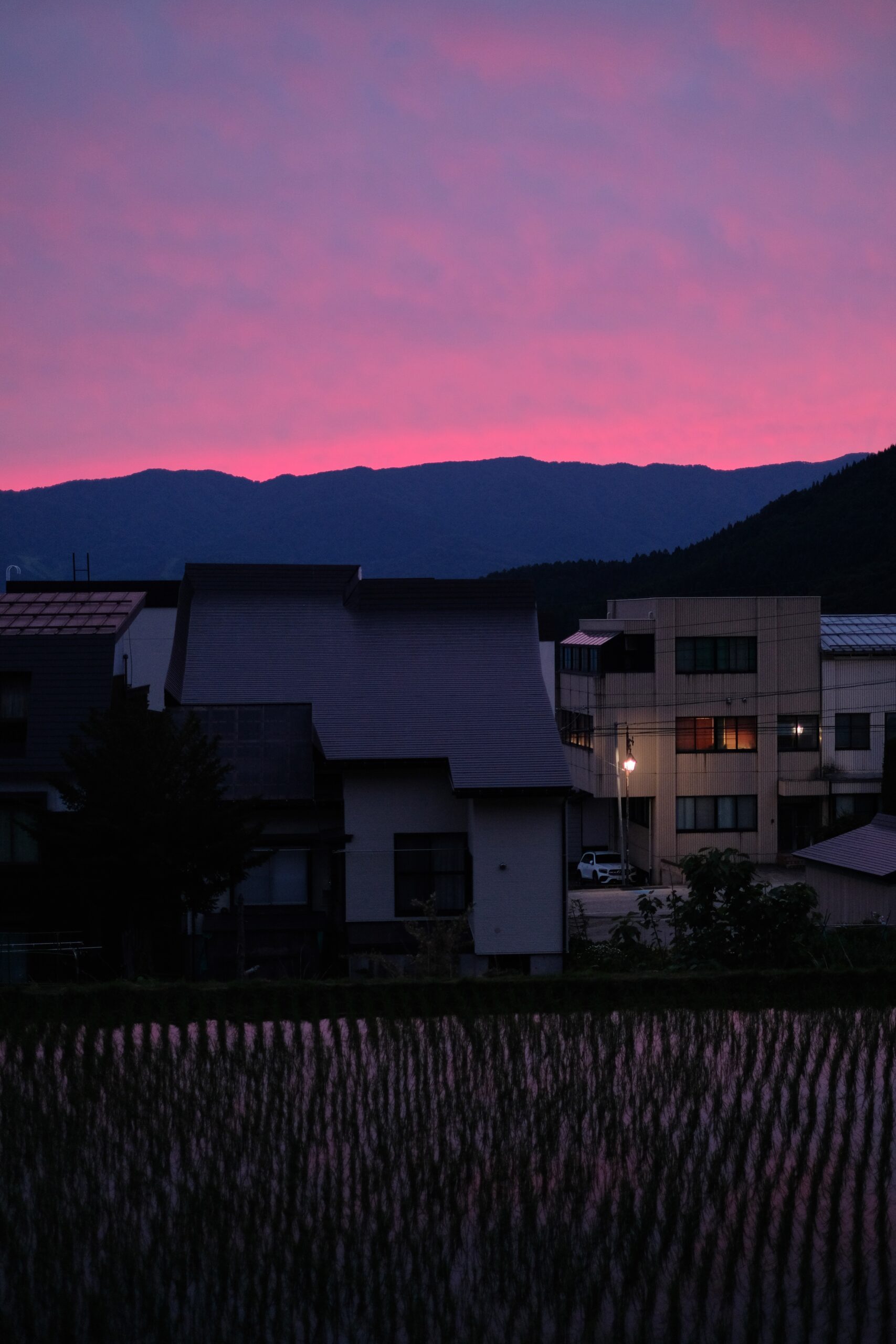 Pink skies reflecting in the crystal clear rice fields 