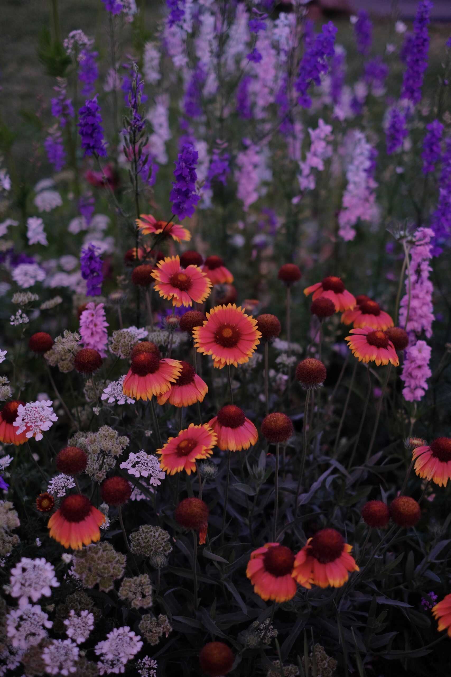 Bright coloured flowers blanketing lands Nagano Prefecture