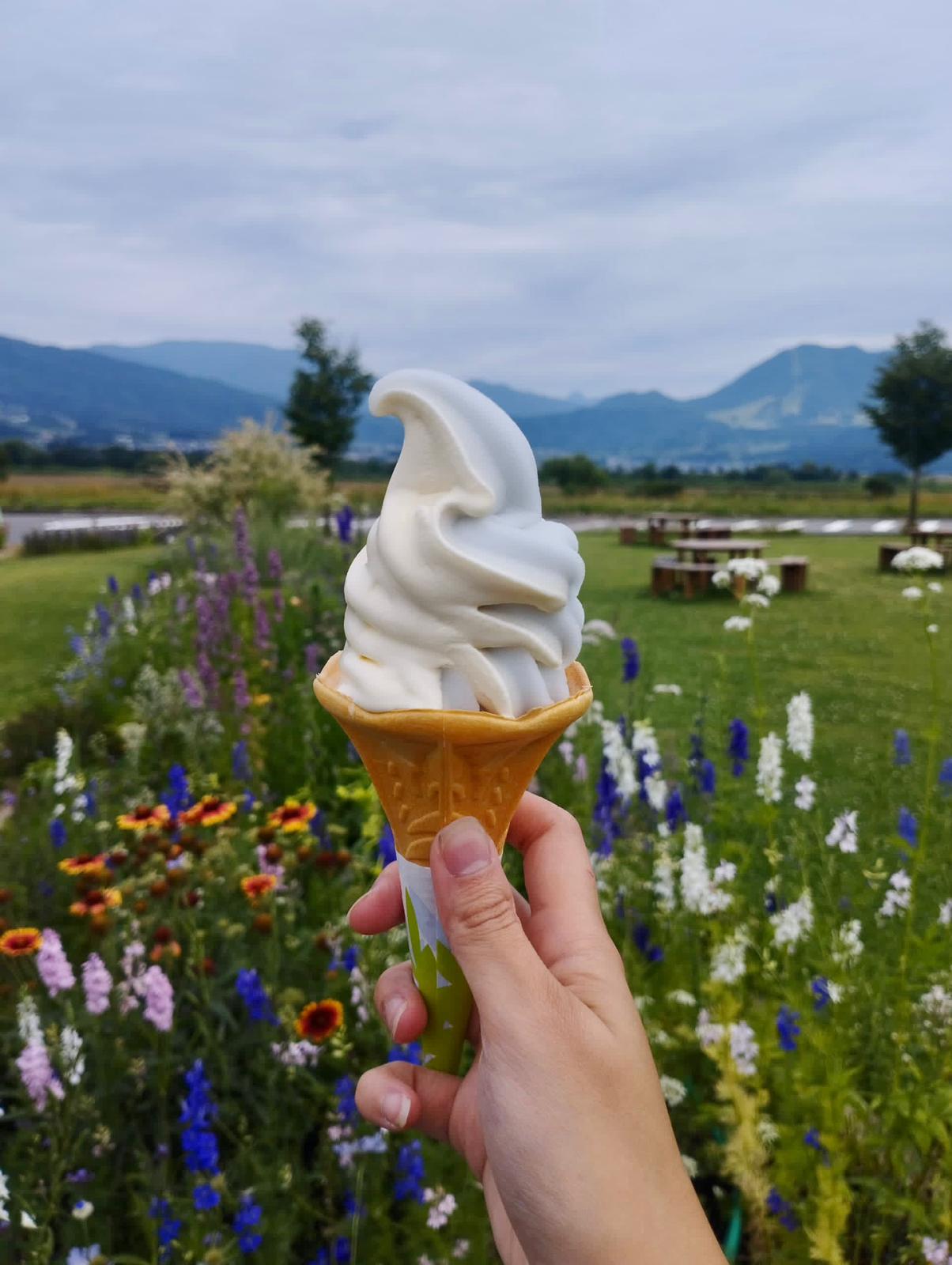 Soft ice cream from one of the nearby Michi No Eki roadside stations 