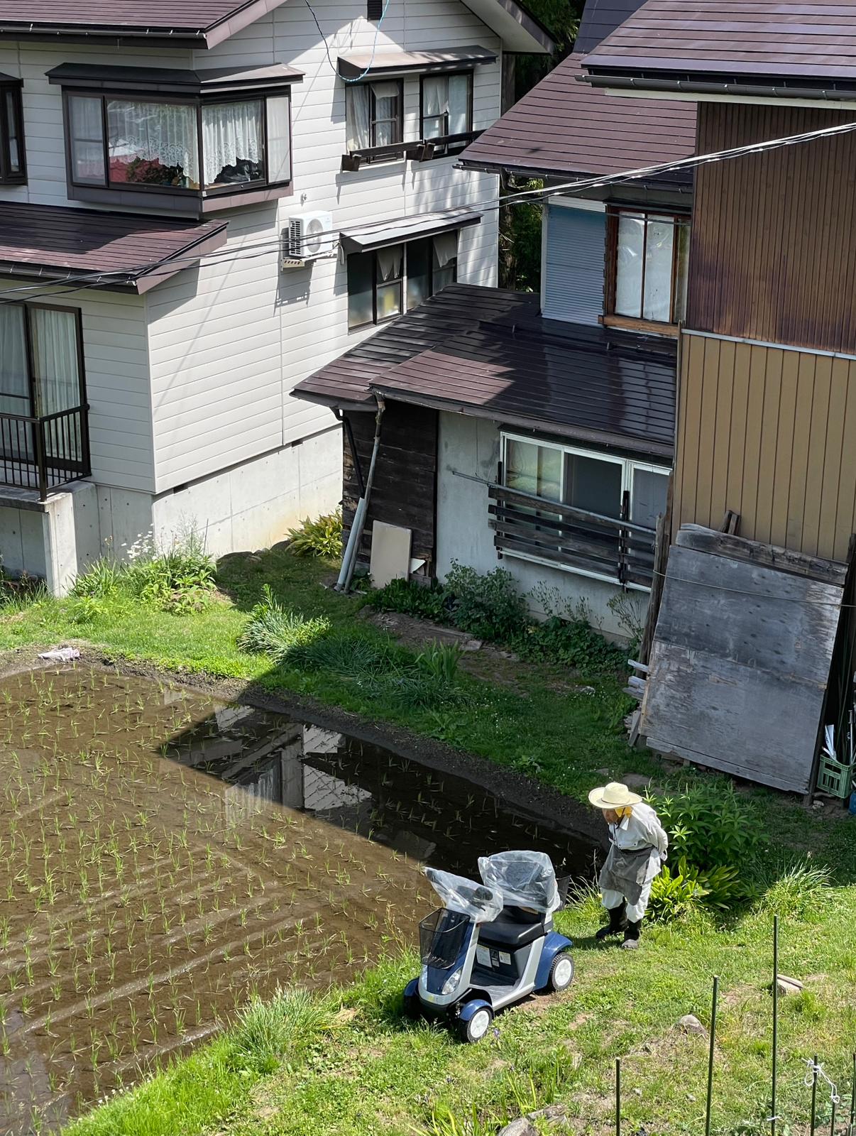 Farming plays a big role of the local people of Nozawa and surrounding countryside areas