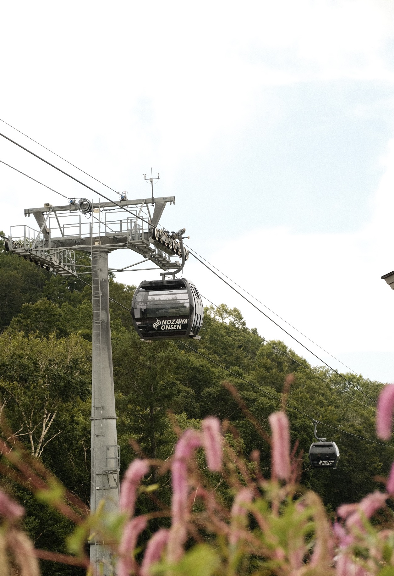 Enjoy beautiful views and lush greenery up above the Village of Nozawa with a quick ride up the mountain with Nagasaka Gondola 