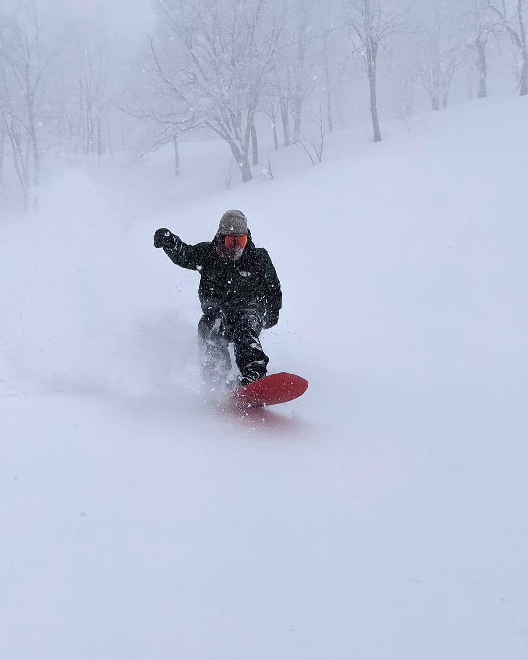 Enjoying the powder of Nozawa Onsen