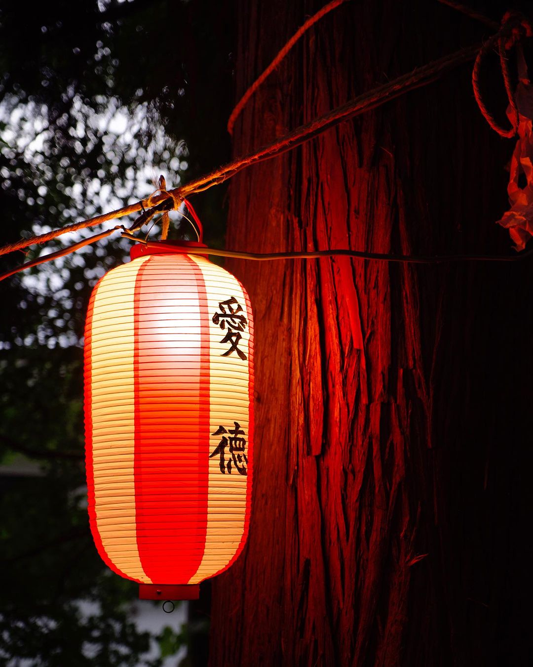 Traditional lanterns placed around Nozawa during Obon Festival Celebrations 