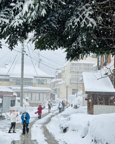 Reminiscing on the last winter season with generous snowfall from village up to the peaks of mt.Kenashi