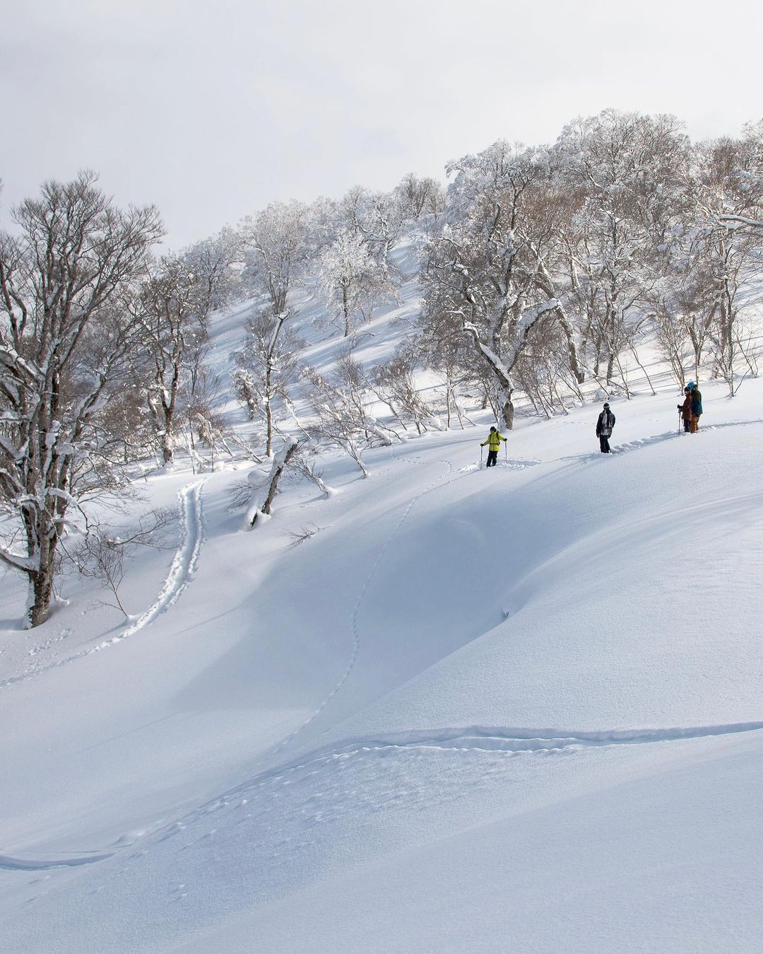 Fluffy slopes after heavy snowfall