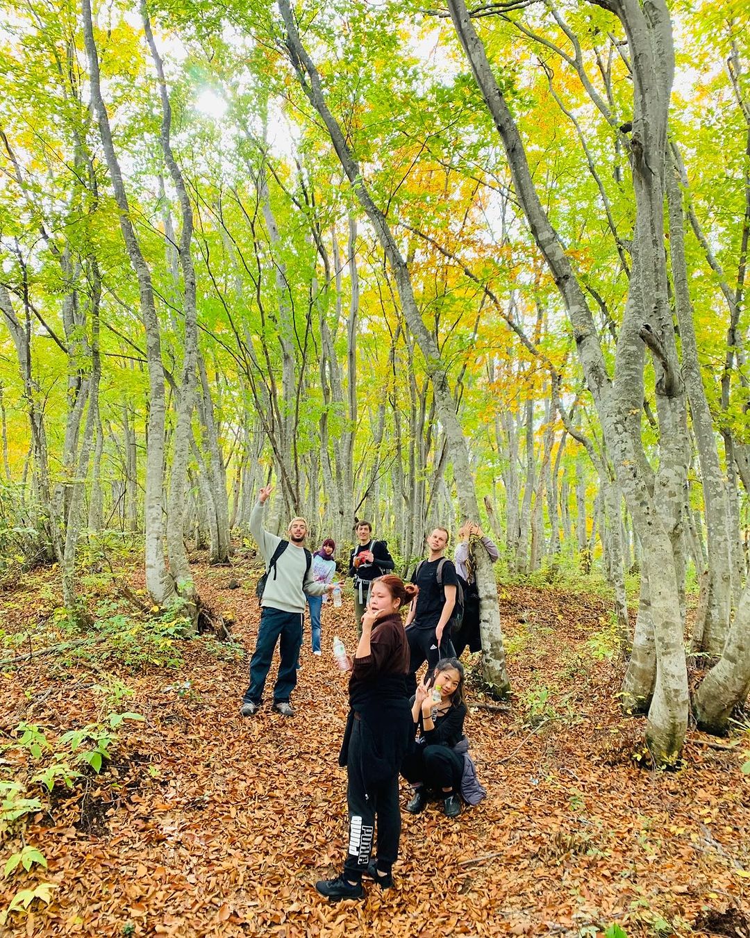 Brisk walks in the forests of Mount Kenashi