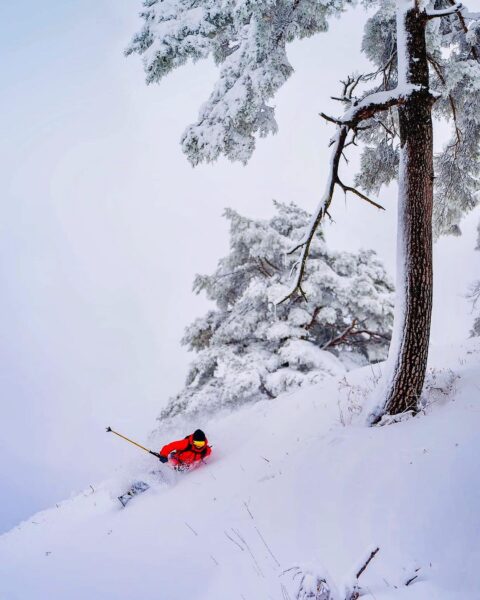 Shogo Kawano cutting through some fresh November snow