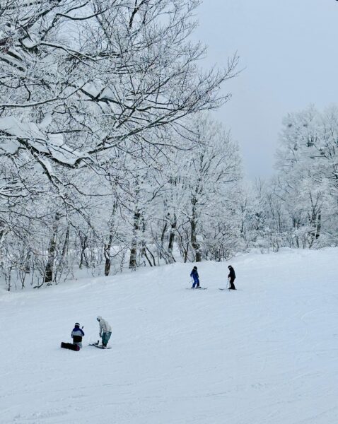 Top of Yamabiko looking white!