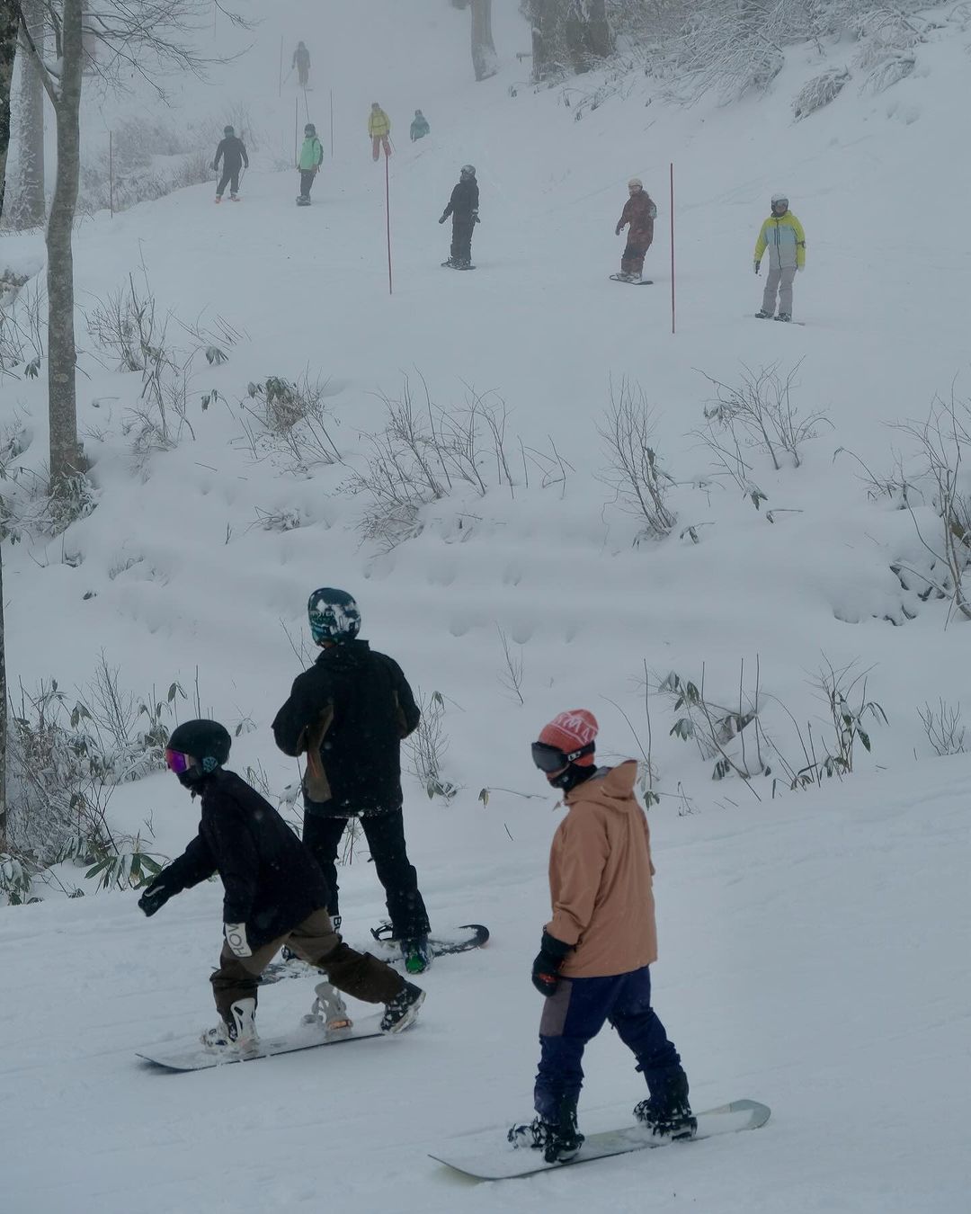 Carving through the fresh December snow