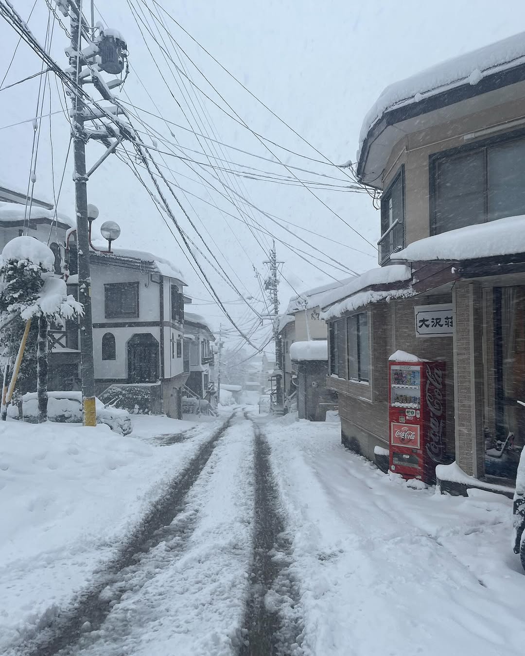 Windy streets covered in snow after a heavy snowfall