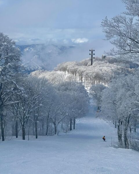 Sunny mornings on the slopes