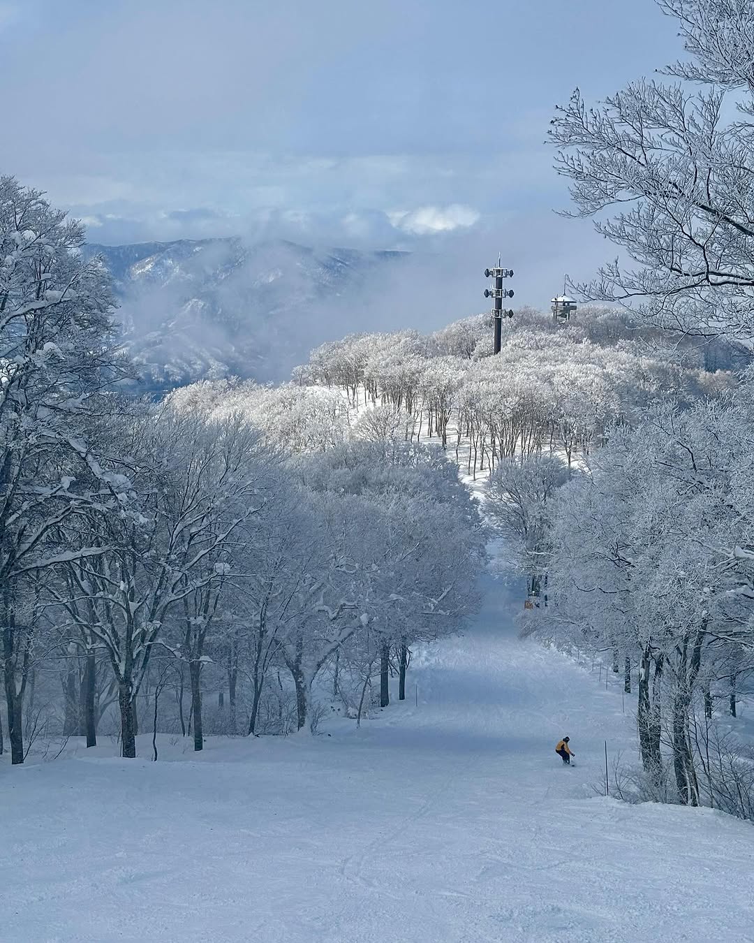 Sunny mornings on the slopes 