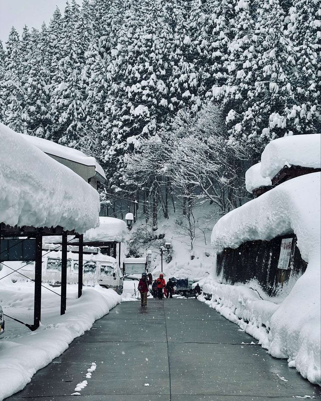 Nozawa keeps on getting more snow than anyone would have expected this January 