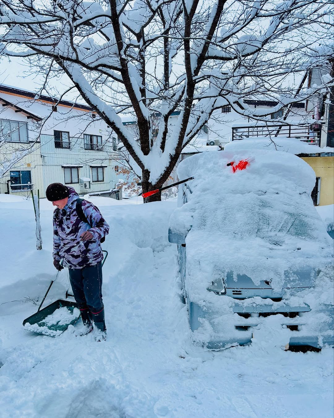 75cm overnight in Nozawa for sure will keep the locals busy with snow shovelling 