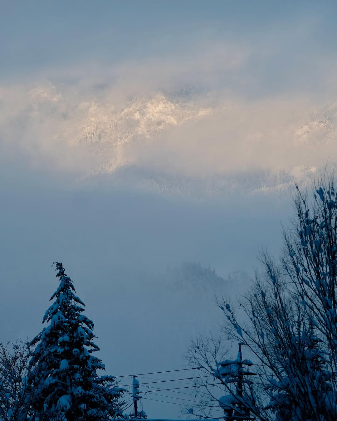 Misty mornings in Nozawa