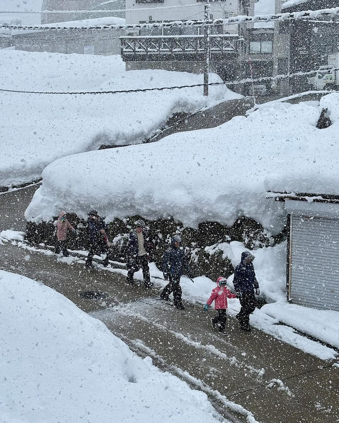 Looking for gear, lift passes or lessons? Come to Nozawa Central and we'll take care of it for you!