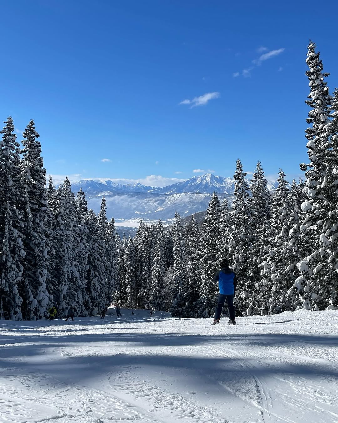 Have you ever skied down the Forest Trail?