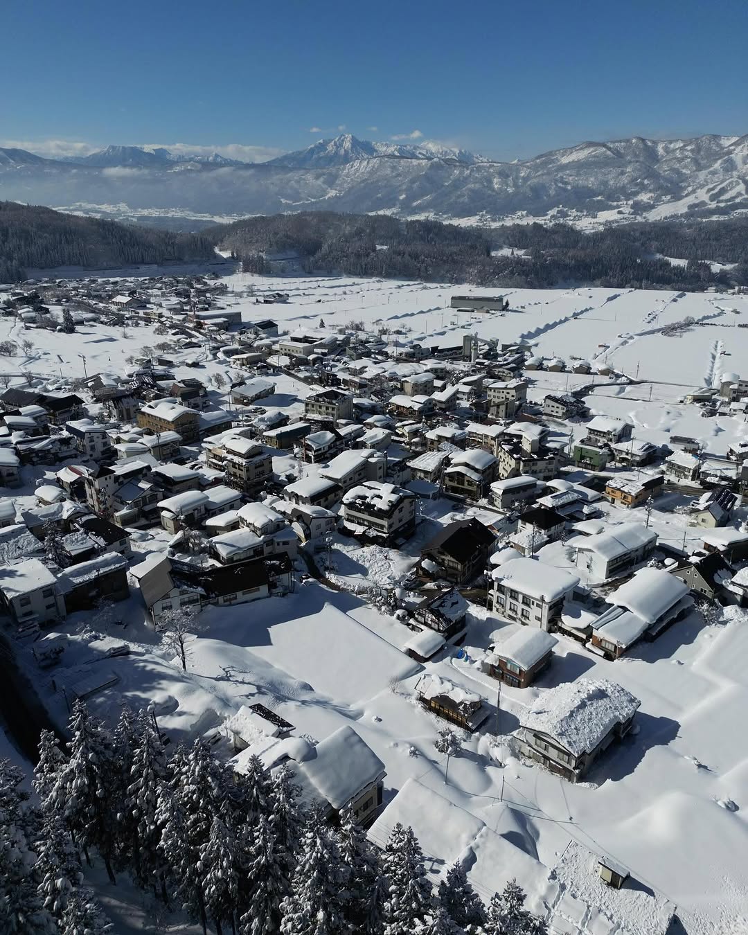 Our lovely village is covered in white 