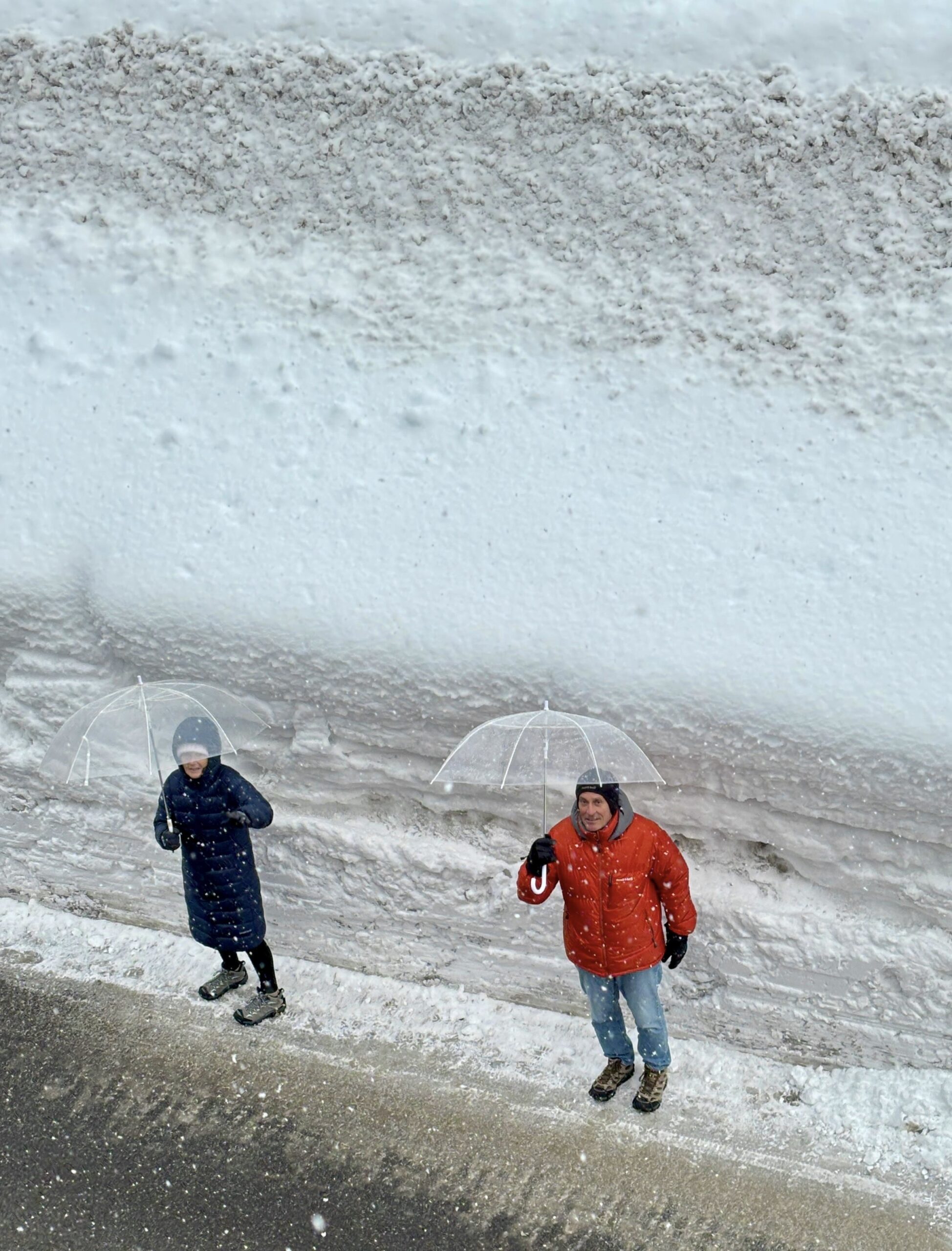 Relentless snowfall lasted for almost a week and Nozawa is whiter than ever!