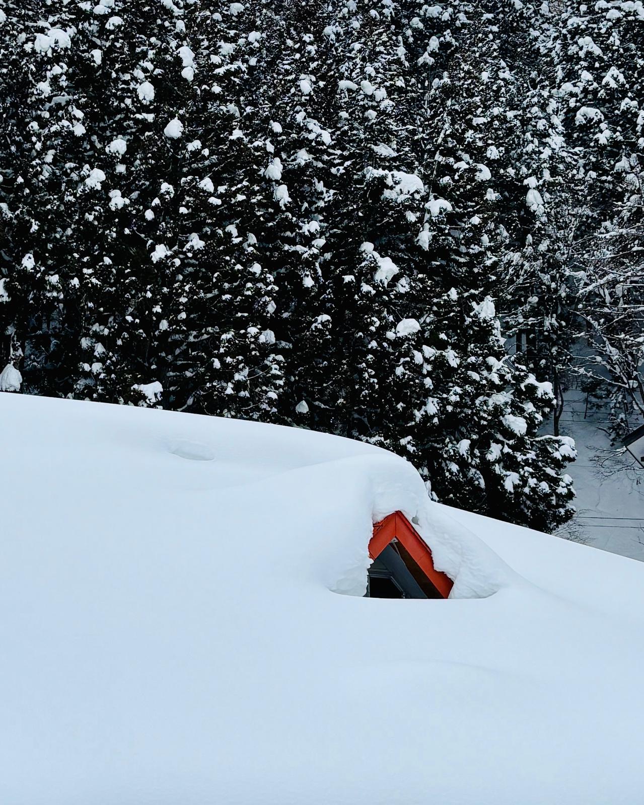 Nozawa Onsen seeing record snowfall this season 2025