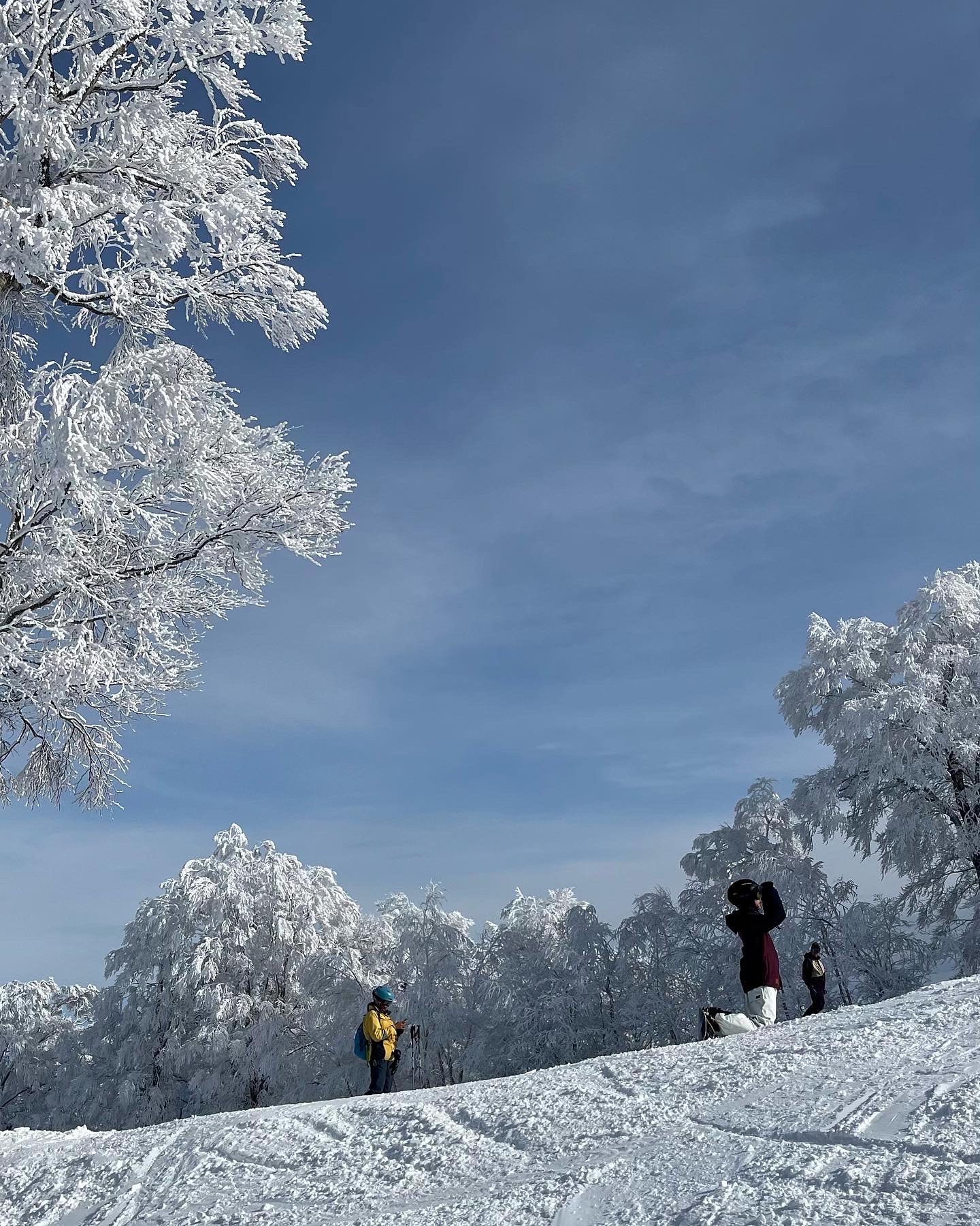 Nozawas scenic heights 