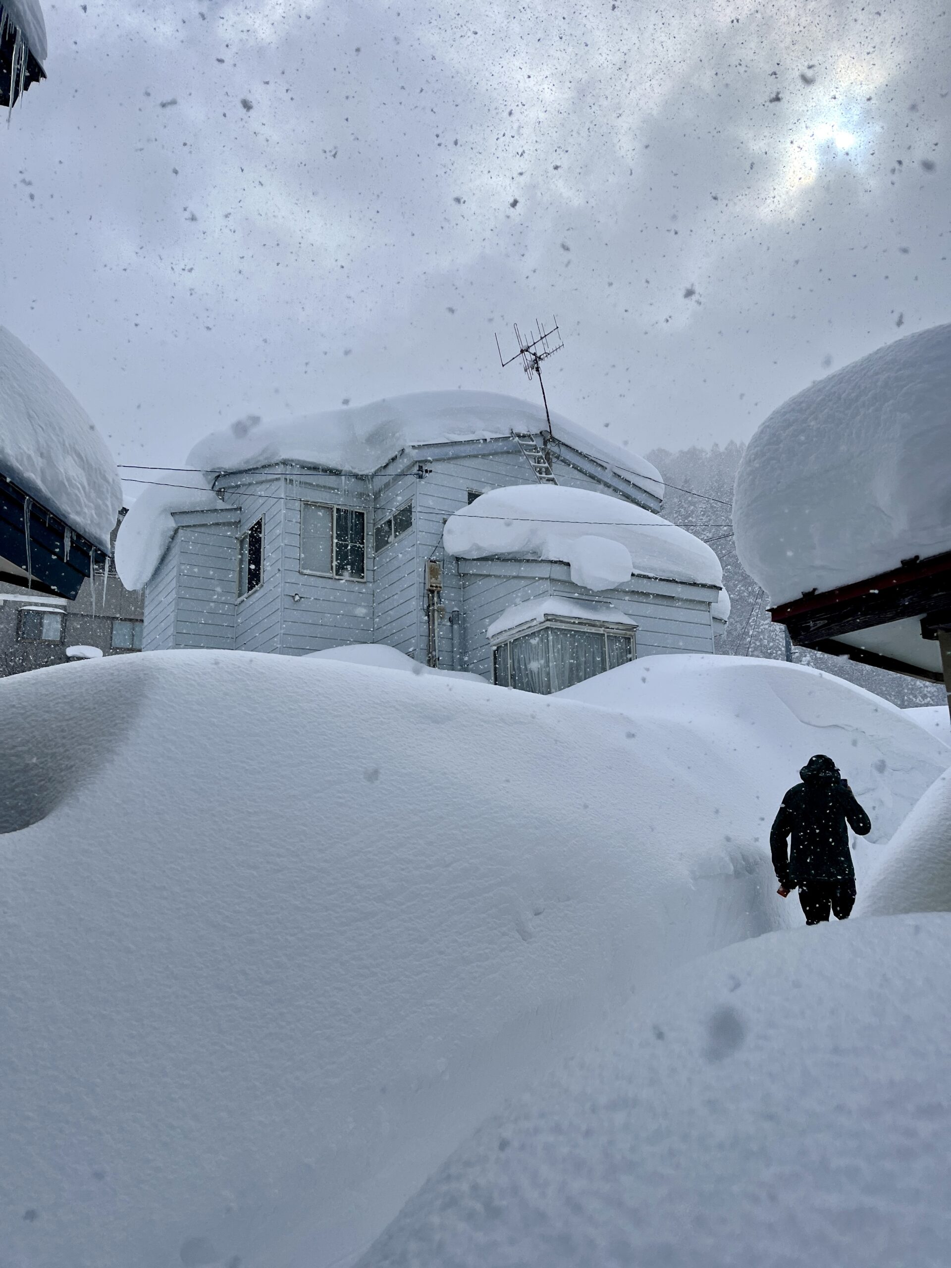 Nozawa's biggest snowfall since the start of 2025 season 