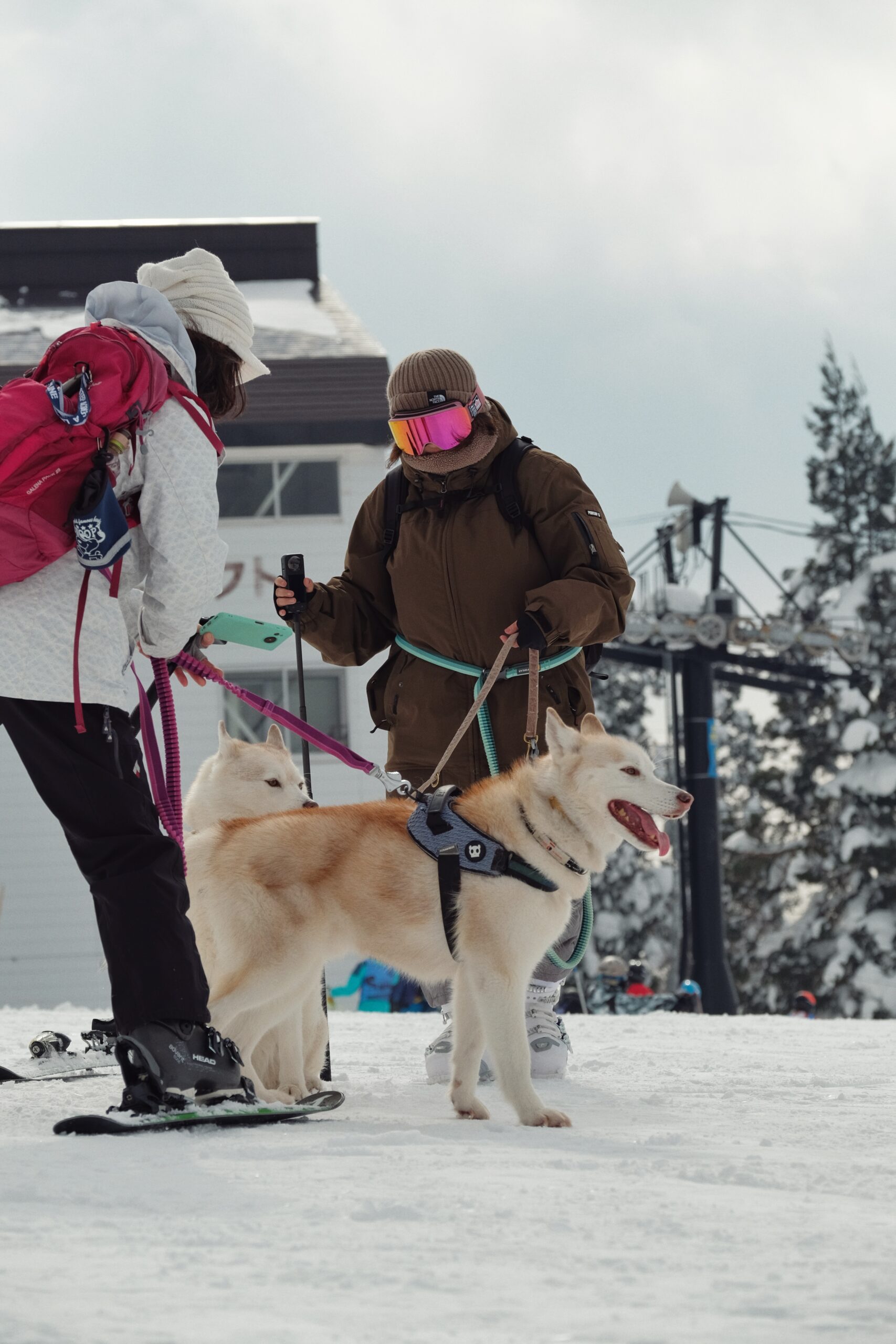 Skiing with your pupil has never been easier 