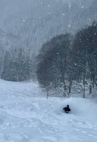 Rider shreds through fresh powder